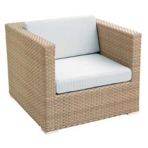 Nuevo Living Cubit Occasional Chair: Home & Kitchen