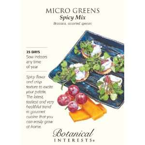  Micro Greens Spicy Mix Seed Patio, Lawn & Garden