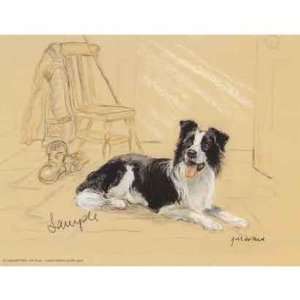  Border Collie Limited Edition Print and Signed by the 