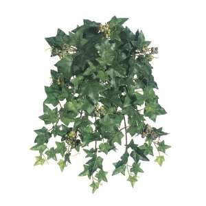  15 Sage Ivy Hanging Bush X9 W/123 Lvs. & Berries Green (Pack 
