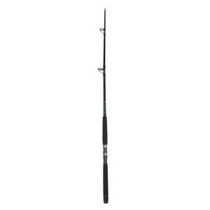   Rod 66 1pc 20 60lb   Daiwa SL EB661HR, Fishing Rods Sports