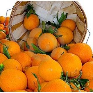 Navel Oranges   1&1/2 Dozen (18) from Organic Mountain