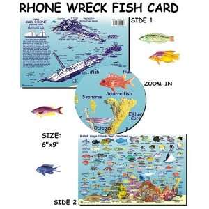  RMS Rhone Wreck and BVI Reef Creatures Fish ID Sports 