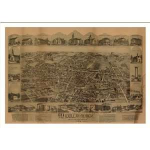   1889 (L) Panoramic Map Poster Print Reprint Giclee