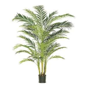  7? Areca Palm Tree in Pot Green (Pack of 2)