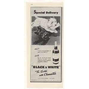  1948 Blackie Whitey Newspaper Delivery Black & White Print 