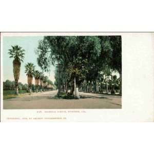 Reprint Riverside CA   Magnolia Avenue 1900 1909