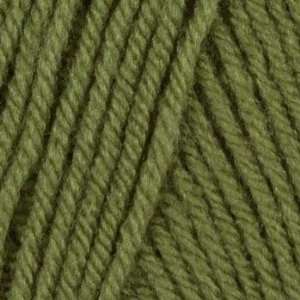 Lion Brand Vannas Choice Yarn (173) Dusty Green By The 