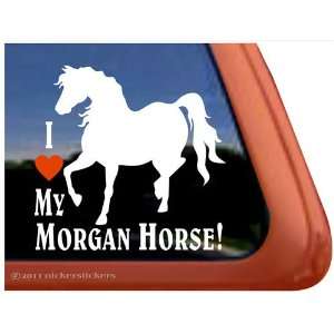  I Love My Morgan Horse Trailer Vinyl Window Decal Sticker 
