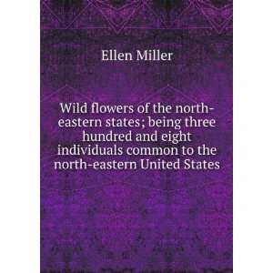   individuals common to the north eastern United States Ellen Miller