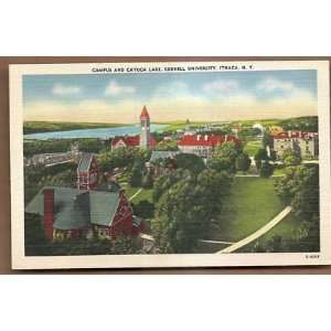   Postcard Corrnell University Campus Ithaca New York 