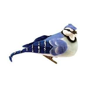  Midwest Design Mushroom/Feather Bird 5 1/Pkg Blue Jay 