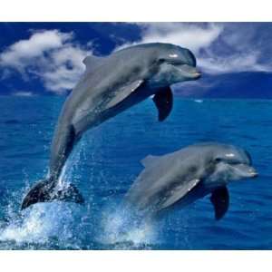  Dolphins jumping for joy on a mouse pad