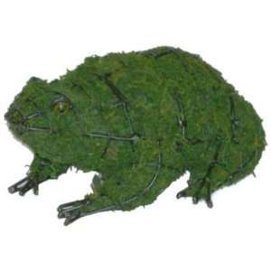    Green Piece Wire Art Moss Covered Frog Topiary