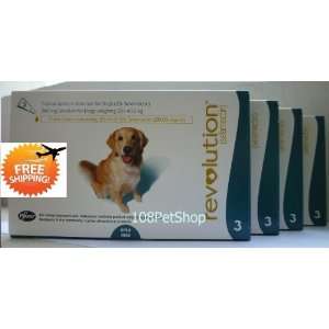 12 Months Supply Revolution Dogs Weighing 20.1   40.0kg, 40.1 85lbs 