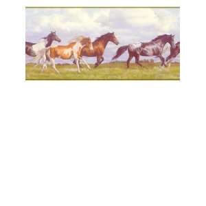   York Border Gallery Horses Running Free NV9448B