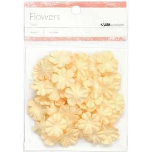    Paper Flowers .79 (2Cm) 50/Pkg   Cream Arts, Crafts & Sewing