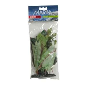   Plant, Nupar Japonicum Silk Plant, and Lobelia Silk Plant Pet