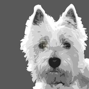    West Highland Terrier by Emily Burrowes 20x20