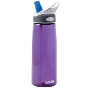 CamelBak Bottle .75L Purple 