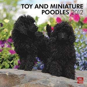  2012 Toy and Miniature Poodles Calendar