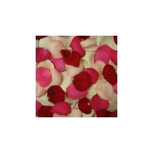  250 Fresh Rose Petals Valentine Mix Patio, Lawn & Garden