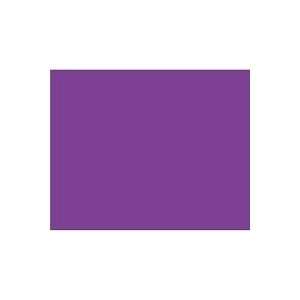  Blank Purple Weather Resistant Label, 2 1/2 x 2 Office 