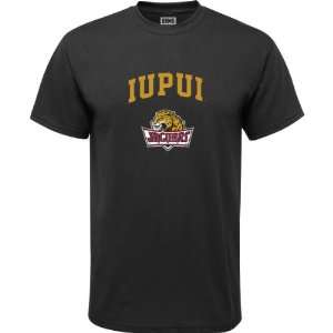 IUPUI Jaguars Black Youth Arch Logo T Shirt:  Sports 