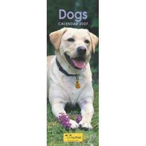  Dogs (Super Slim Calendar) (9780711743021) Books
