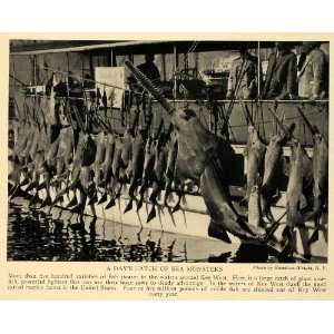  1928 Print Key West Florida Deep Sea Fishing Sawfish 