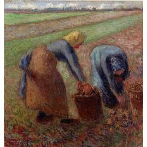   size 24x36 Inch, painting name Potato Harvest 1, by Pissarro Camille
