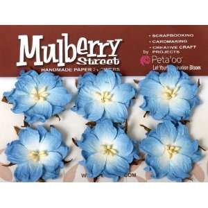  Mulberry Street Handmade Paper Wild Roses 6/Pkg Ba 