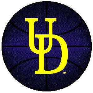   Blue Hens ( University Of ) NCAA 24 Basketball Rug: Sports & Outdoors