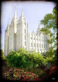   Art Vintage Vertical Salt Lake CTR LDS Mormon Missionary Baptism New