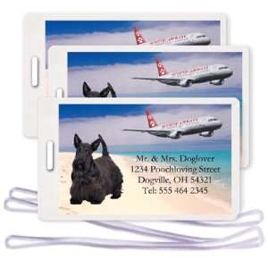  Scottish Terrier Set Of 3 Plane Luggage Tags Everything 