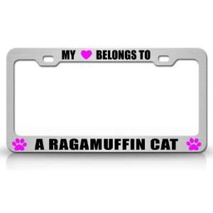  MY HEART BELONGS TO A RAGAMUFFIN Cat Pet Steel Metal Auto 
