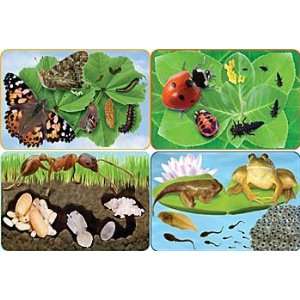  Giant Life Cycle Foam Floor Puzzles Toys & Games