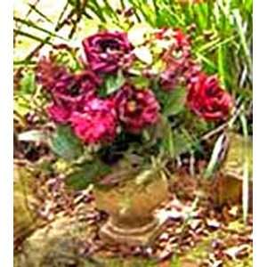  Silk Cabbage Roses Artificial Plants [XD2i 7899011]: Home 