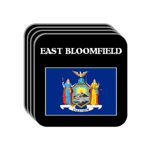 US State Flag   EAST BLOOMFIELD, New York (NY) Set of 4 Mini Mousepad 