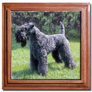  Kerry Blue Terrier Tile Trivet: Home & Kitchen
