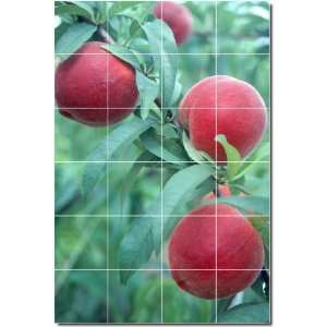 Fruits Vegetables Photo Backsplash Tile Mural 9  24x36 using (24) 6x6 