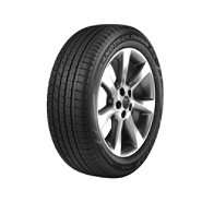   Dunlop available in the Light Truck & SUV Tires section at 