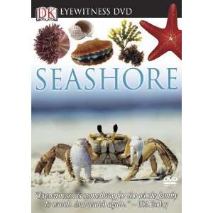  Seashore (Eyewitness Videos) [DVD] DK Publishing Books