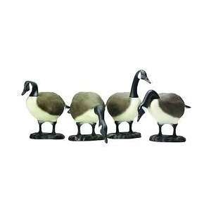  The Judge Full Body Canada Goose Decoy, 4 Pack: Sports 