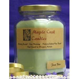   Creek Candles FROSTBITE ~ Cool and Minty ~ Soy Wax Blend 13oz candle