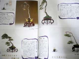   Care Pruning Bunjin Shohin Bonsai Pot Tree Tool Photo Book text  