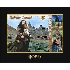 Rubius Hagrid The Witches and Wizards of Harry Potter Collection 