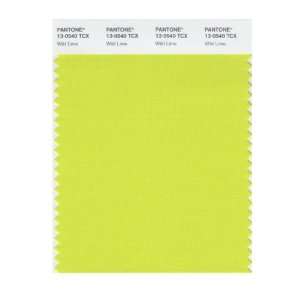  PANTONE SMART 13 0540X Color Swatch Card, Wild Lime