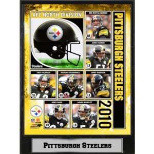  2010 Pittsburgh Steelers 9X12 Plaque Case Pack 14 Sports 