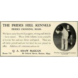 1930 Ad Wire Haired Terrier Dog Breeders Prides Hill Kennels Q. A 